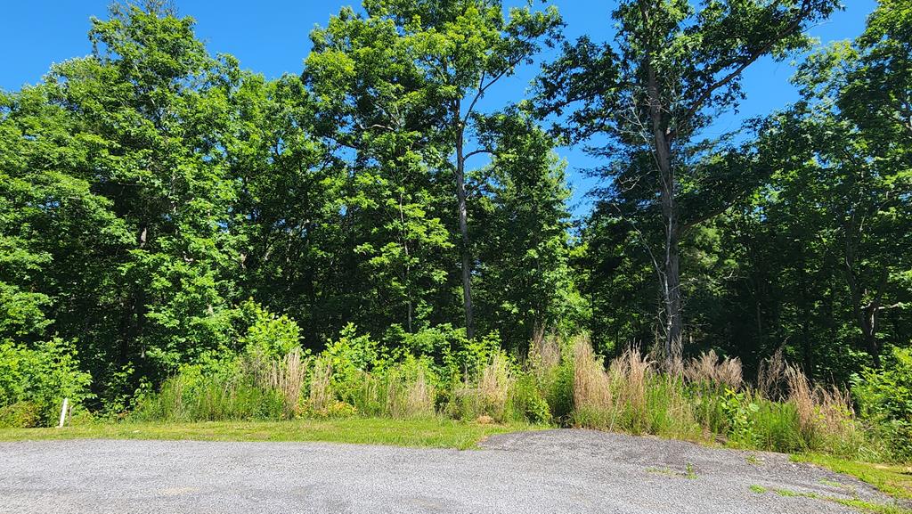 431294  Land