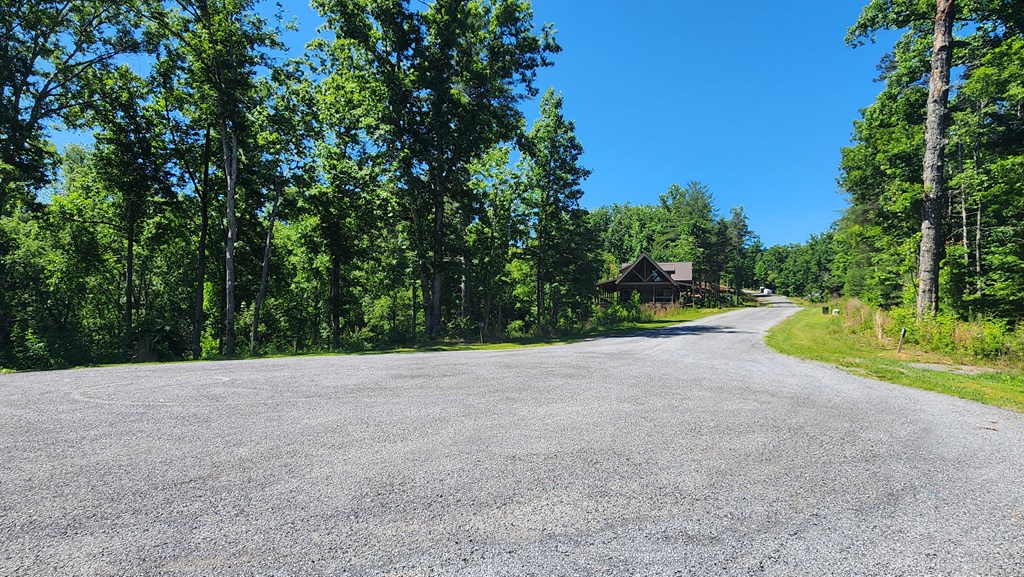 431294 Ellijay
 Land