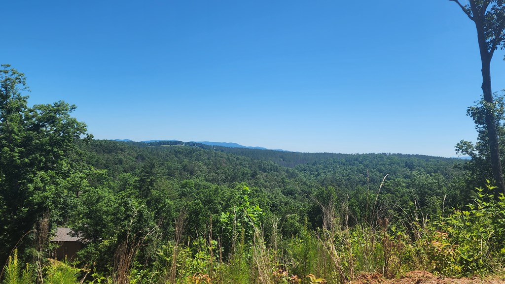 431294 Ellijay
 Land