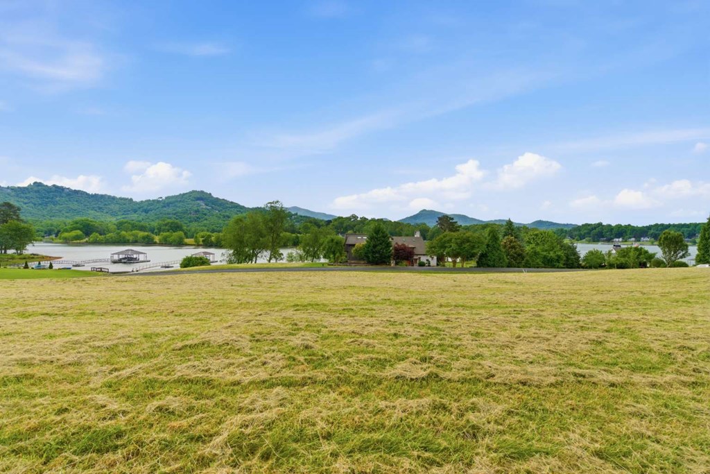431299 Hayesville
 Land