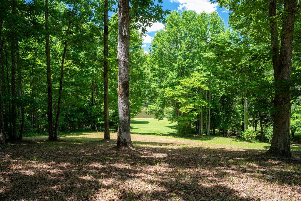 431302 McCaysville
 Land