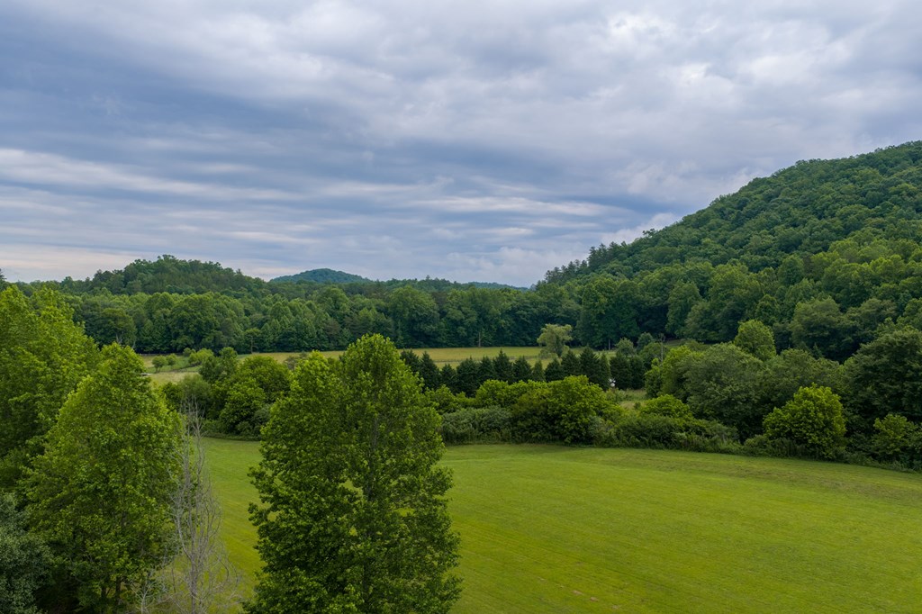 431304 Tellico Plains
 Land