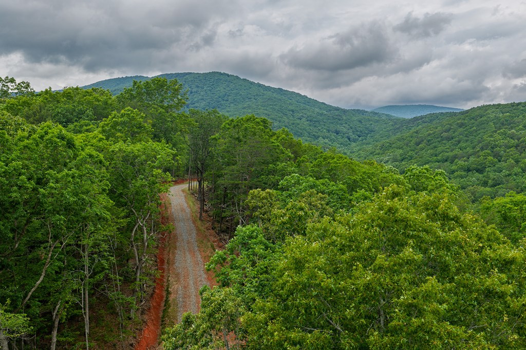 431310 Ellijay
 Land