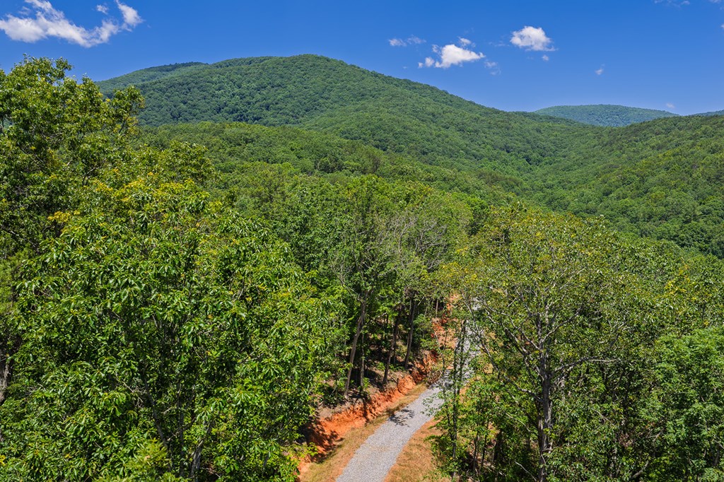 431310 Ellijay
 Land