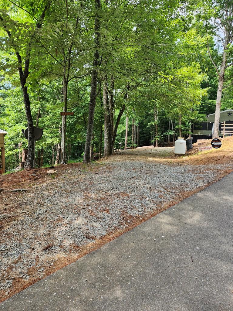 431314  Land