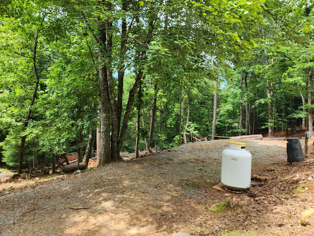 431314 Ellijay
 Land