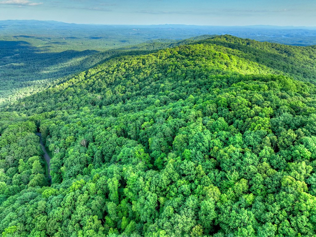 431317 Ellijay
 Land