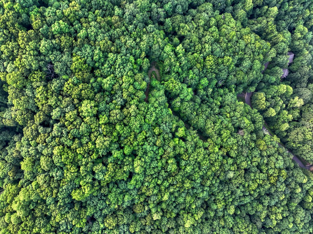 431317 Ellijay
 Land