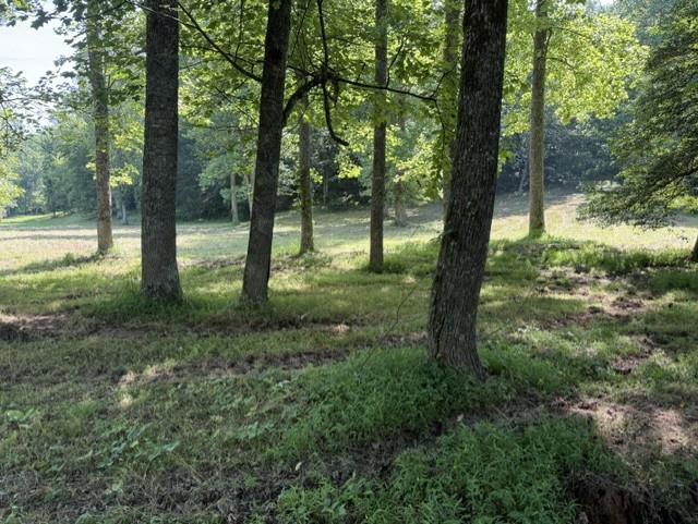 431324  Land