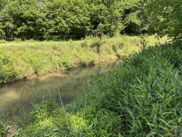 431324 Ellijay
 Land