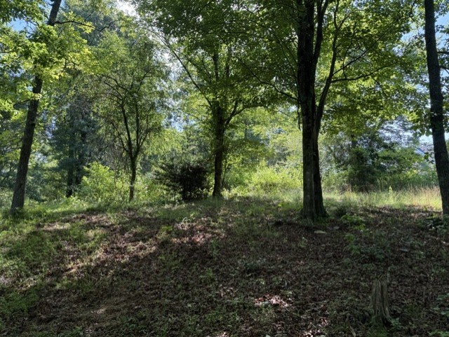 431324 Ellijay
 Land