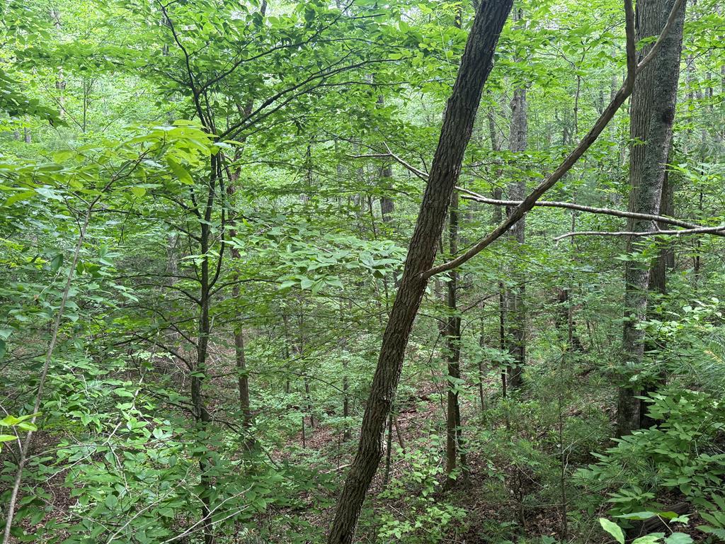 431330  Land