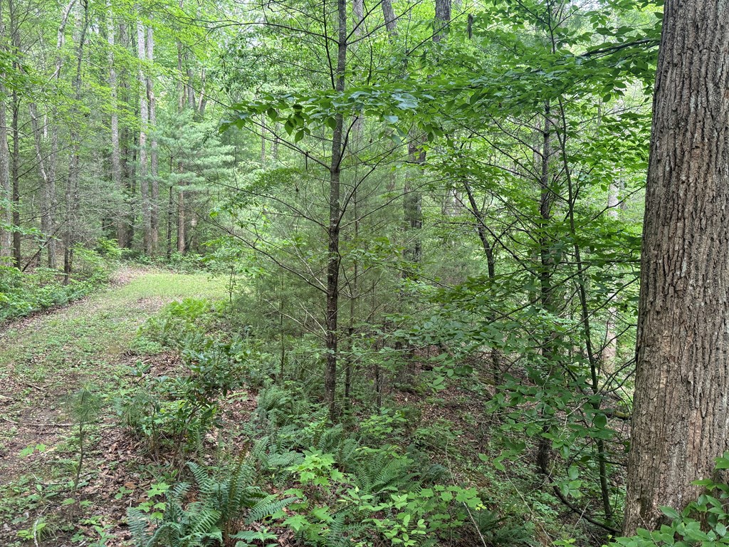 431330 Blairsville
 Land