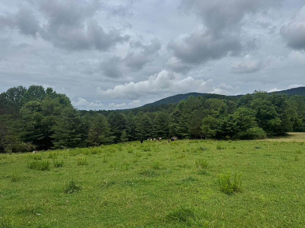 431336 Hayesville
 Land