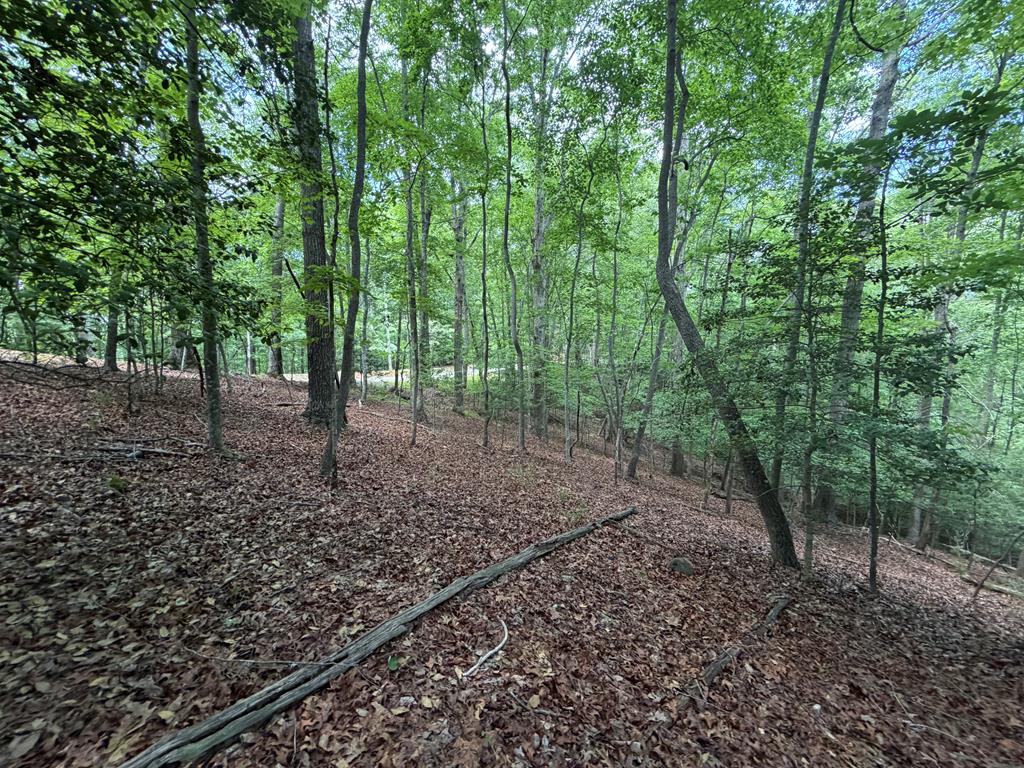 431352  Land