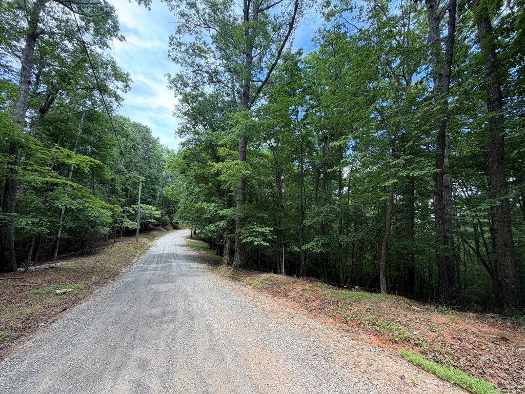 431352 Ellijay
 Land