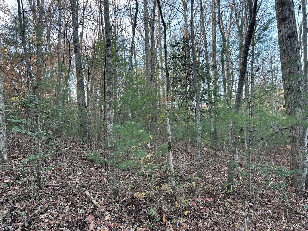431366 Blairsville
 Land