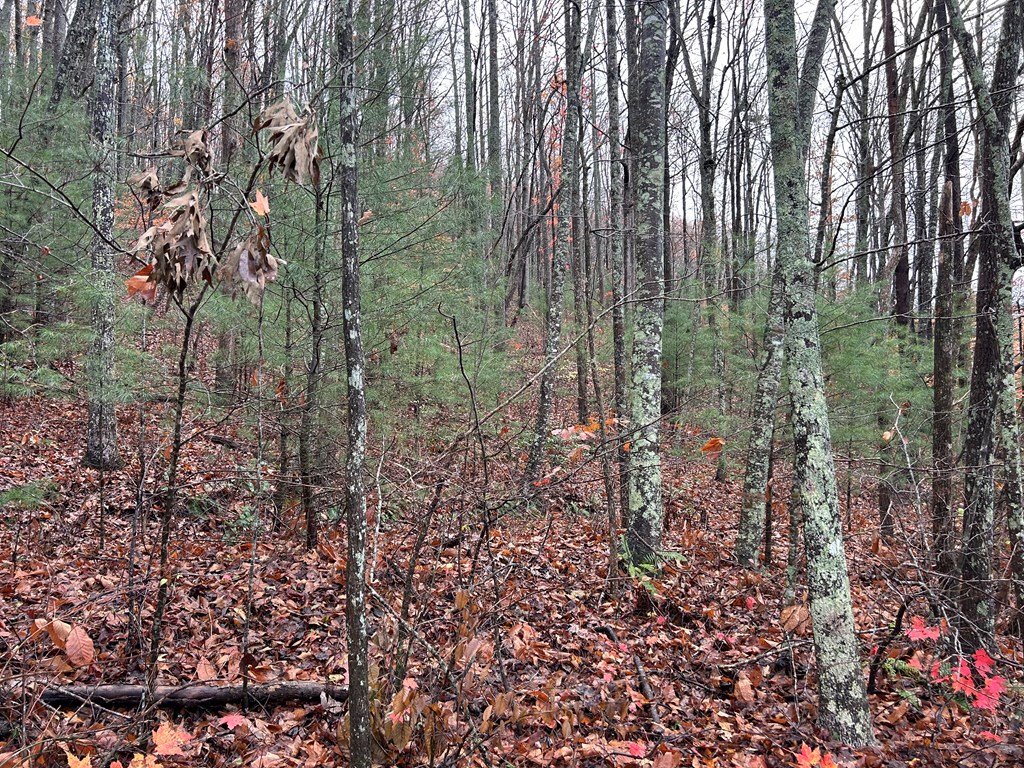 431367 Blairsville
 Land