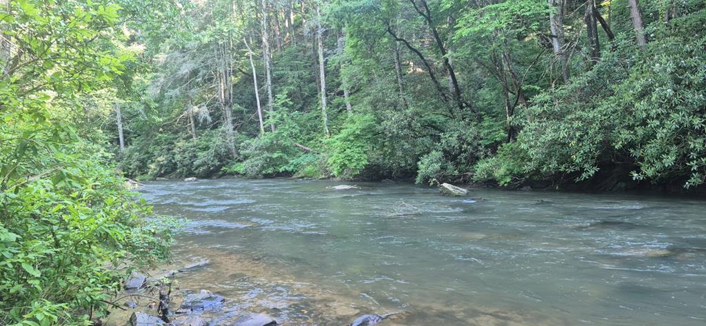 431375 Ellijay
 Land
