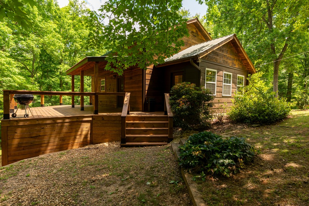 431380 Mineral Bluff Active