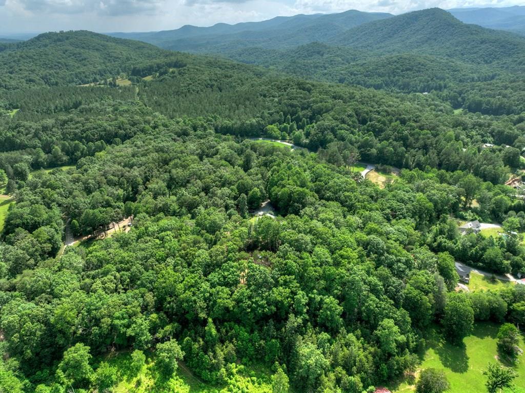 431382 Blue Ridge
 Land