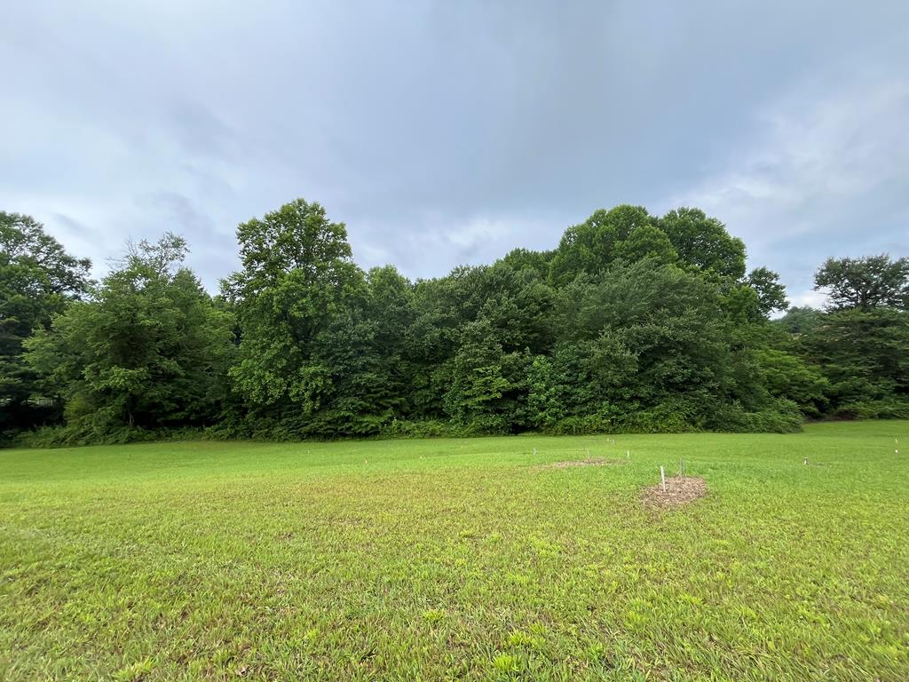 431391  Land