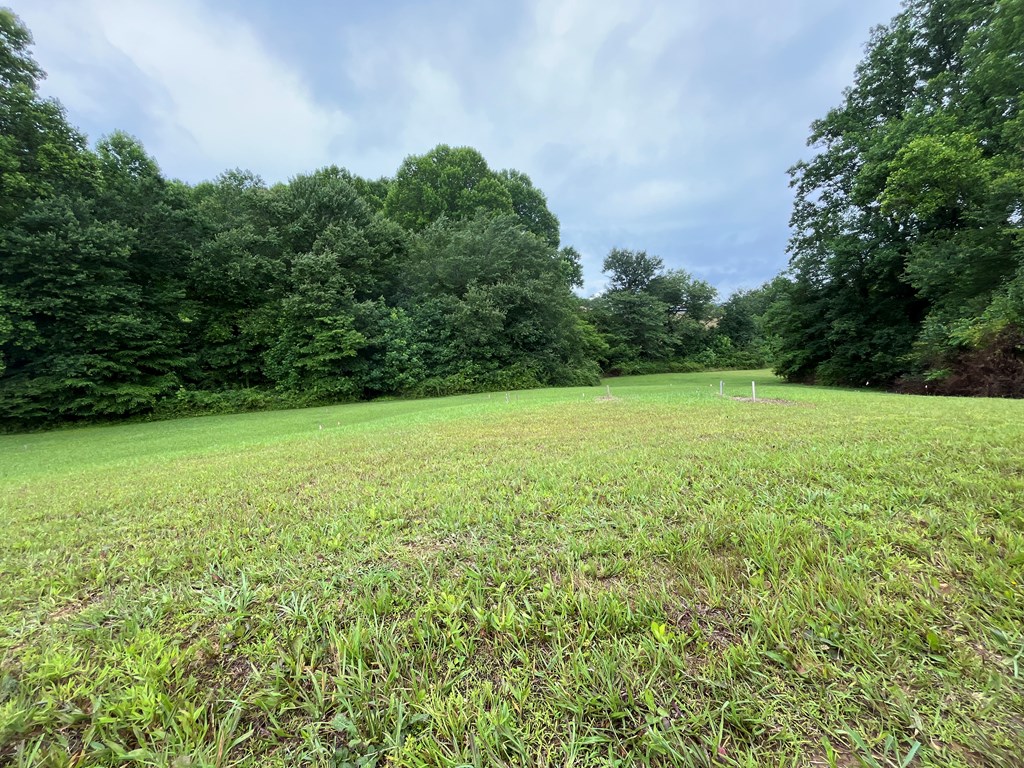 431391 Blairsville
 Land