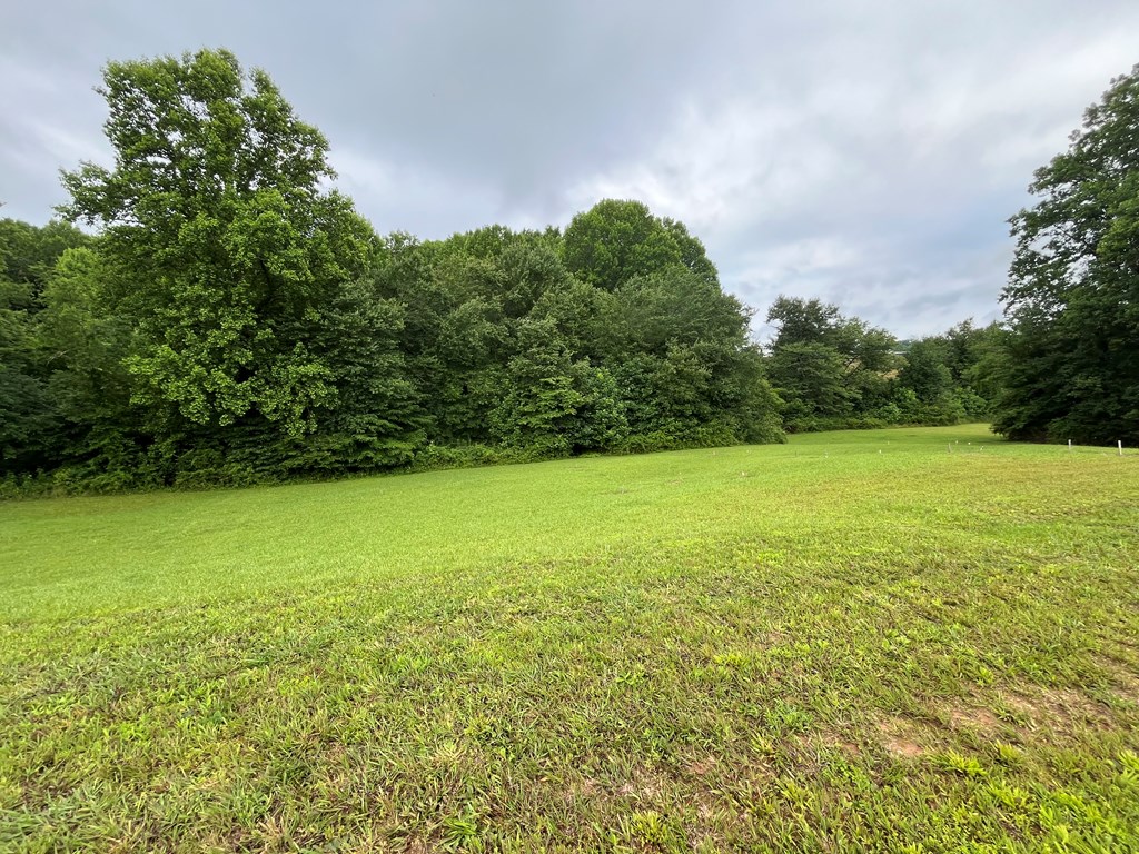 431391 Blairsville
 Land