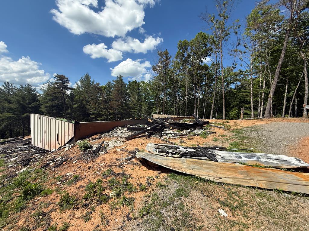 431396  Land