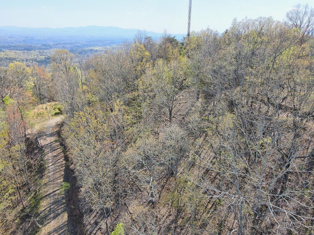 431399  Land