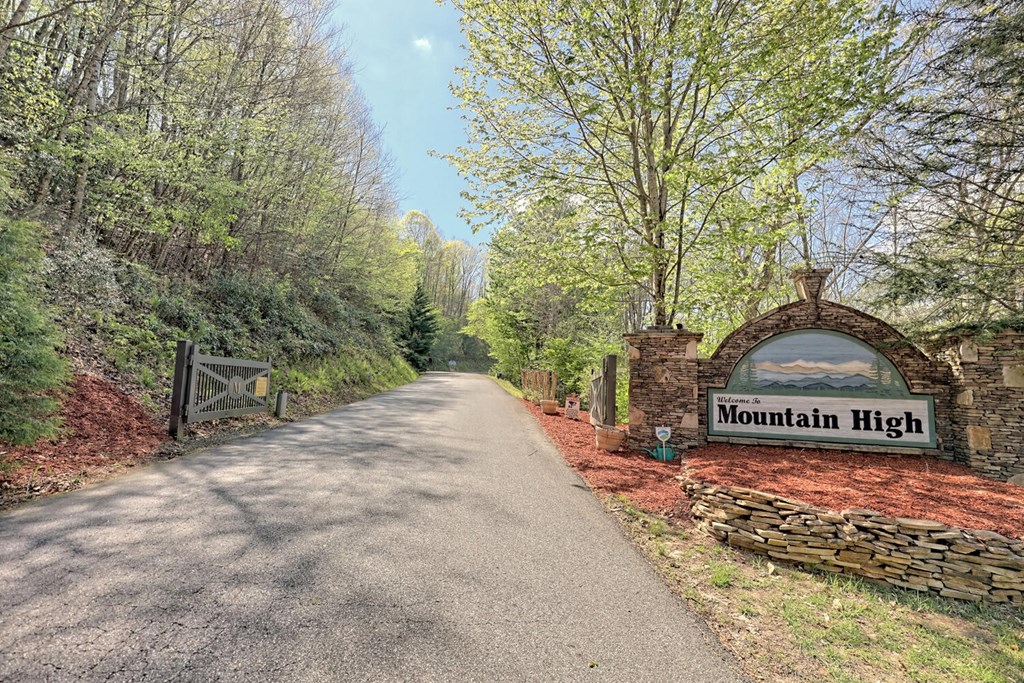 431399 Mineral Bluff
 Land