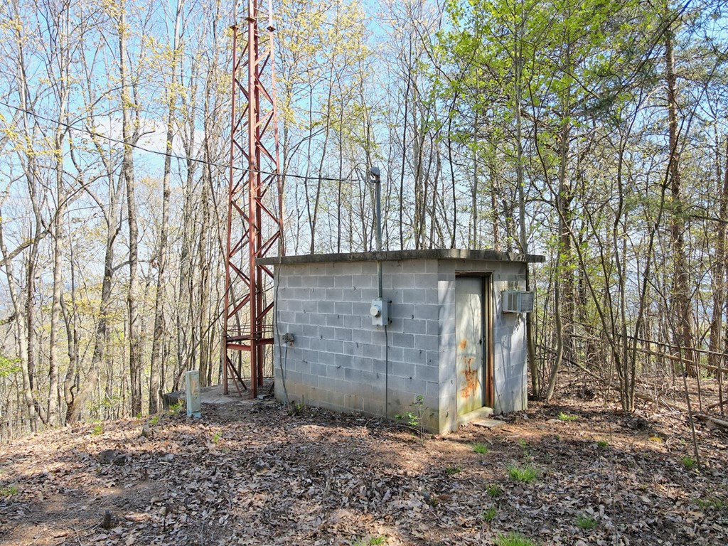 431399 Mineral Bluff
 Land