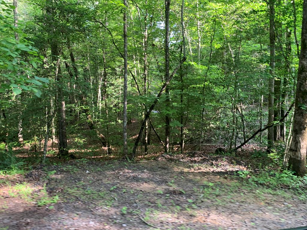 431402  Land