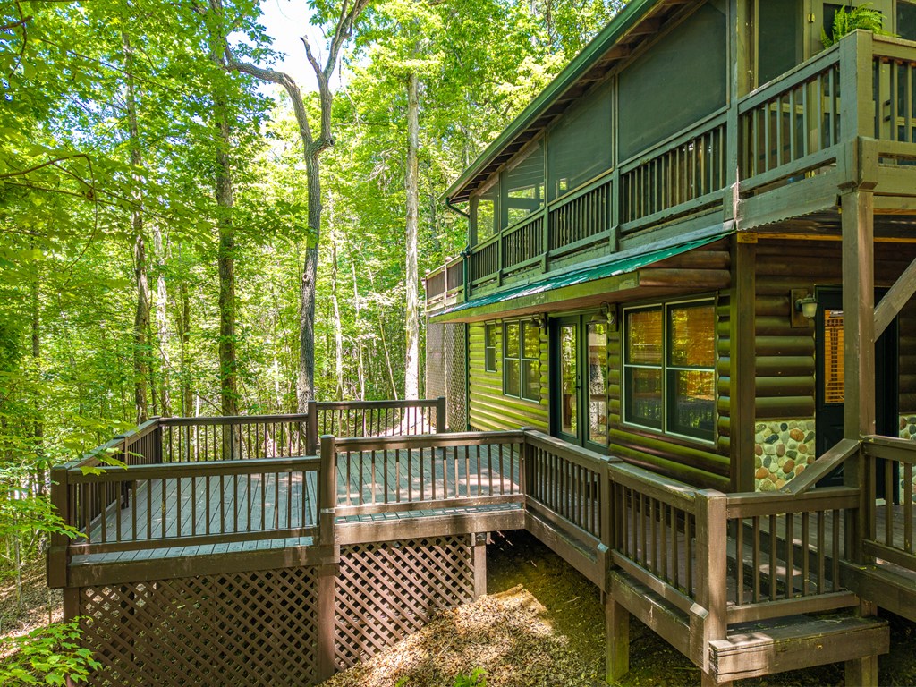 431404 Ellijay Active