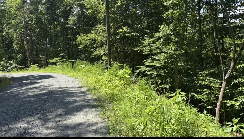 431407  Land