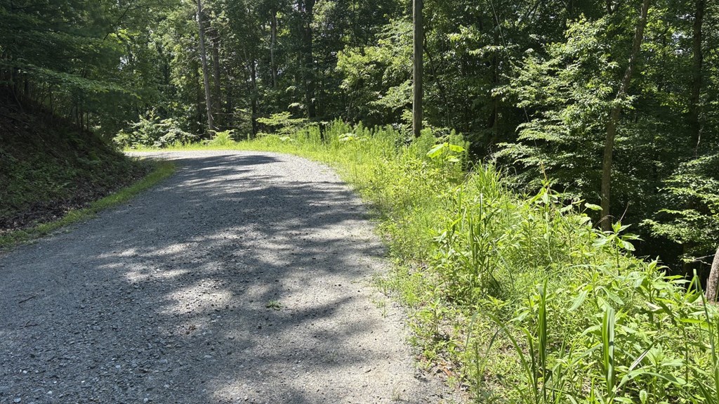 431407 Ellijay
 Land