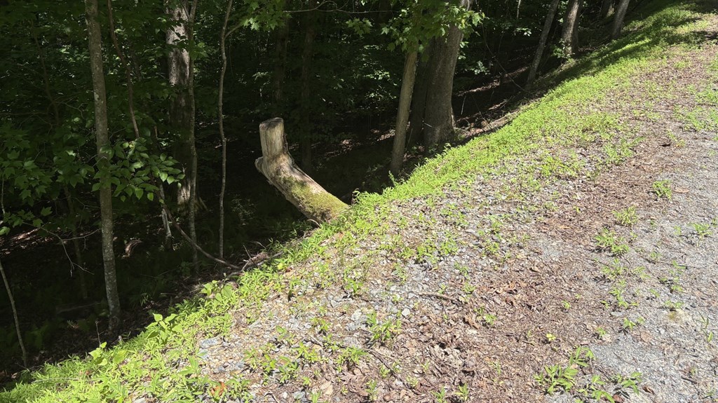 431408 Ellijay
 Land