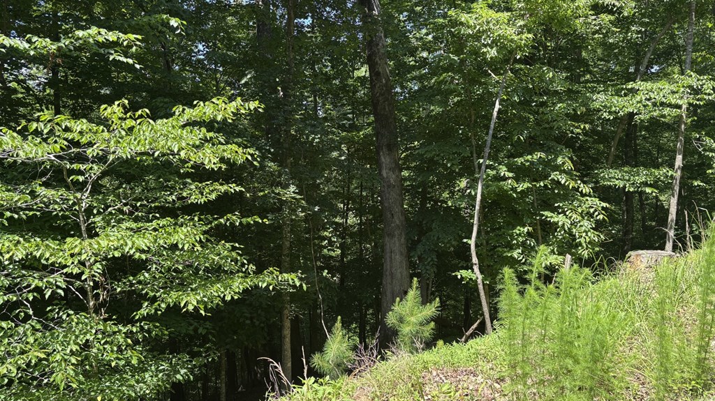 431408 Ellijay
 Land
