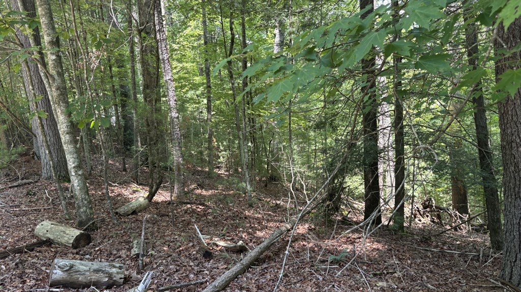 431410 Ellijay
 Land