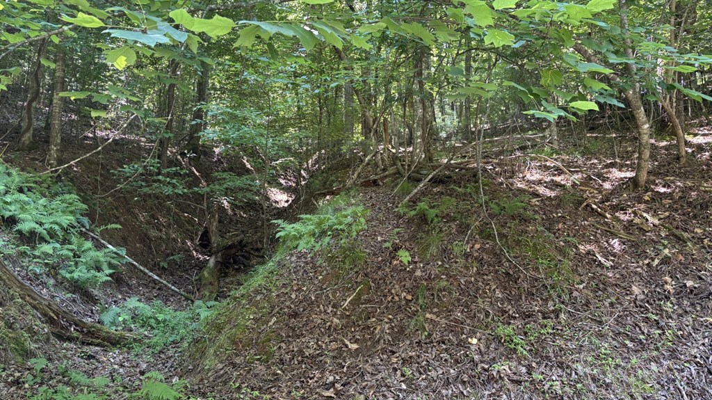 431411 Ellijay
 Land