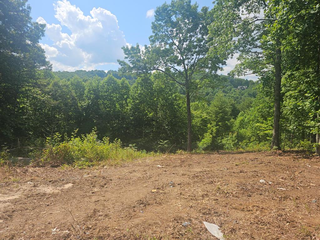 431420  Land