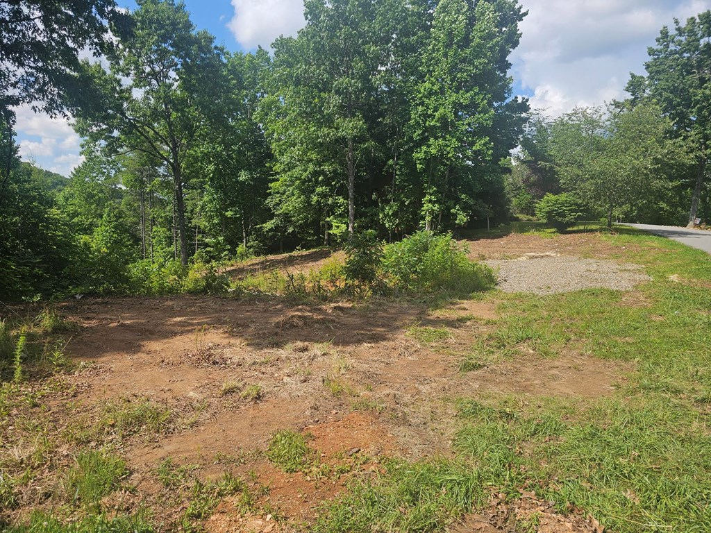 431420 Murphy
 Land