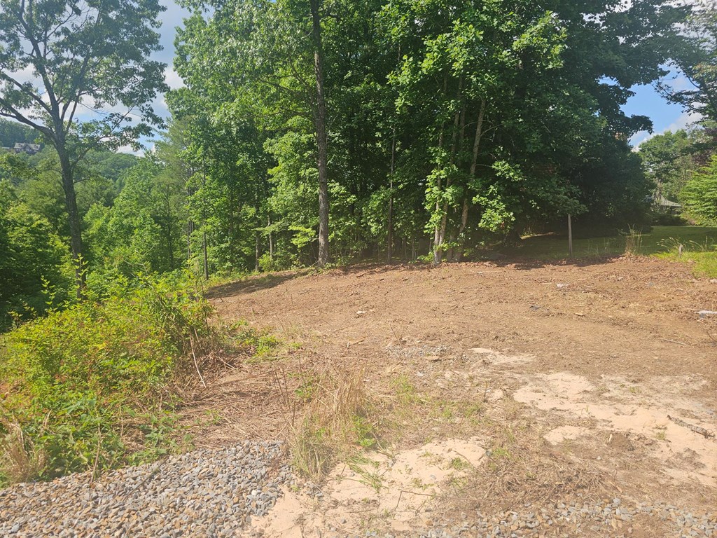 431420 Murphy
 Land