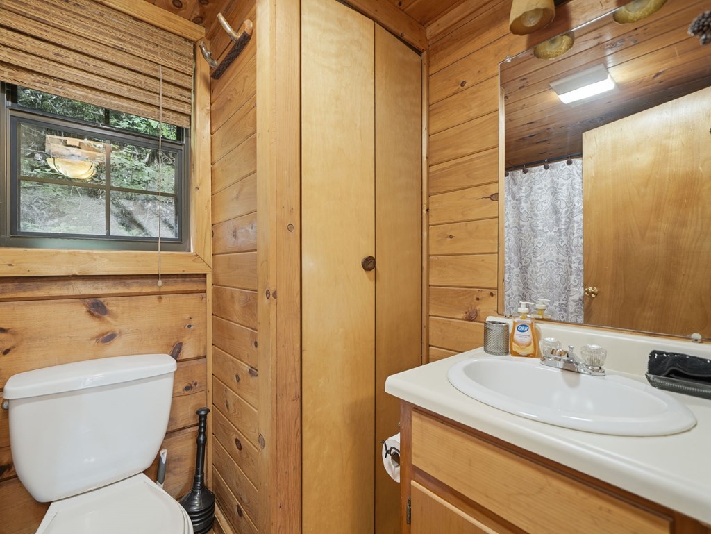431438 Blue Ridge Active
