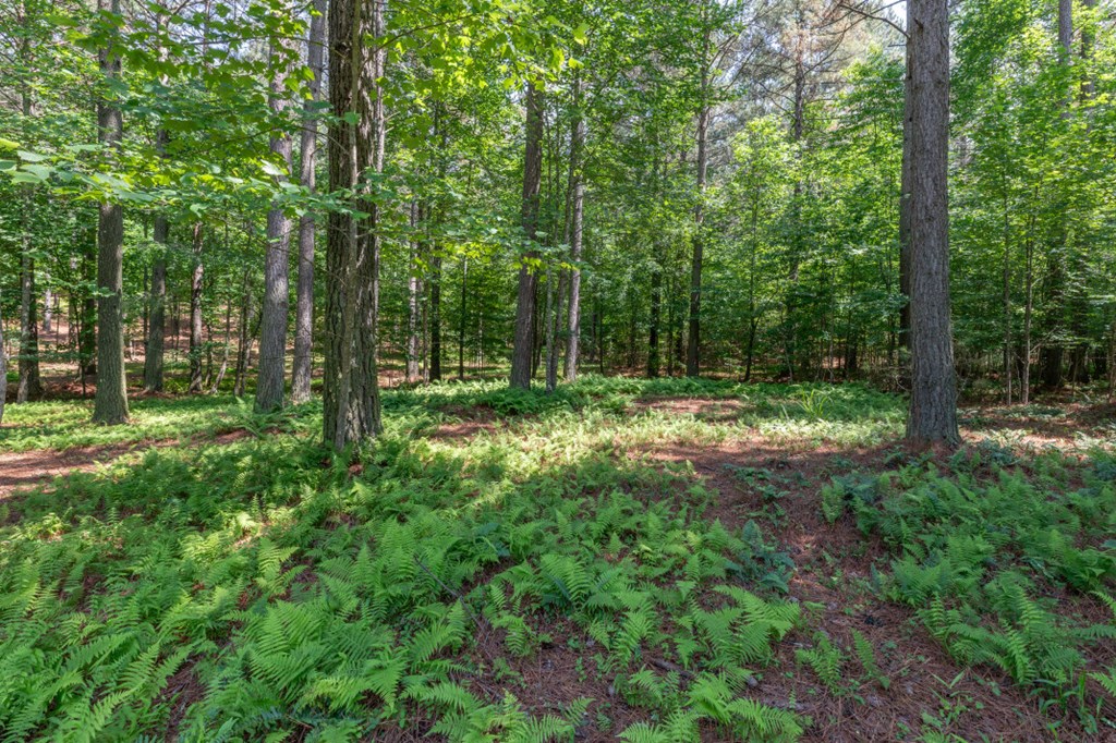 431439 Blairsville
 Land