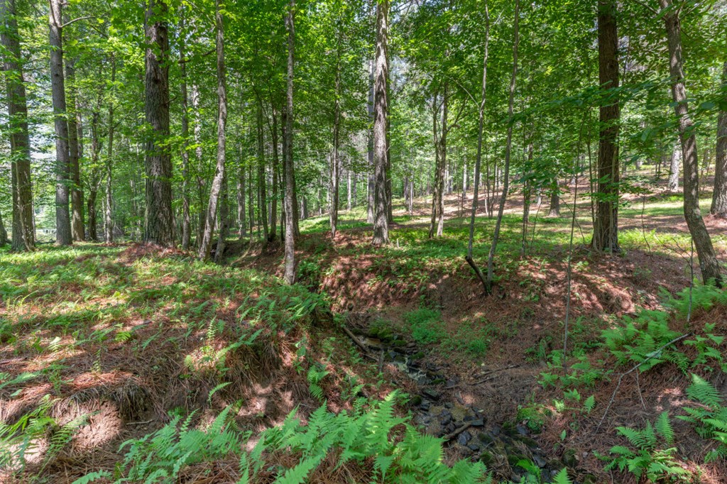 431439 Blairsville
 Land