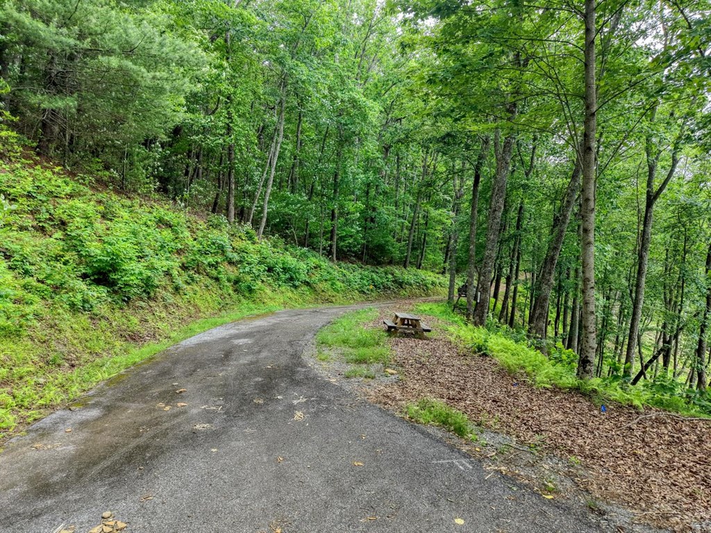 431440 Hiawassee
 Land