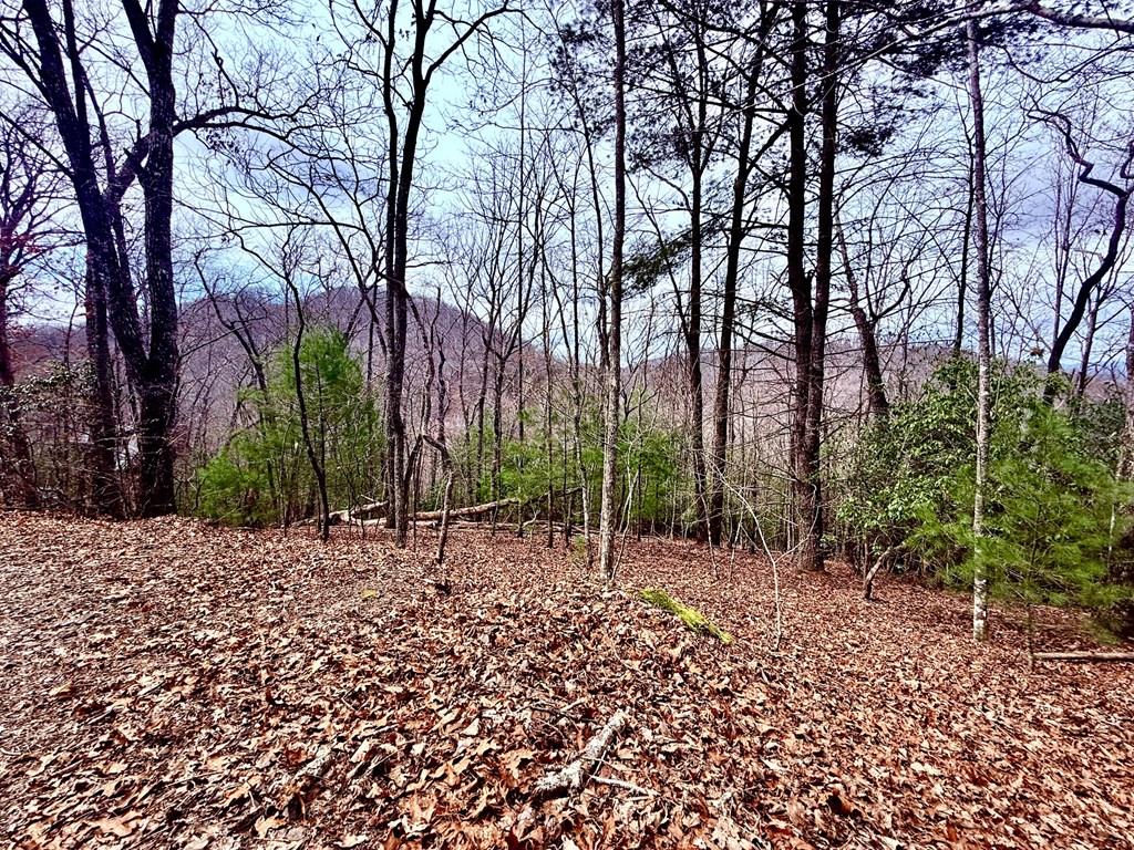 431443  Land