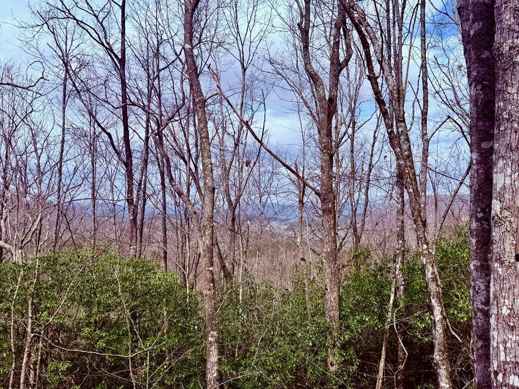 431443 Brasstown
 Land