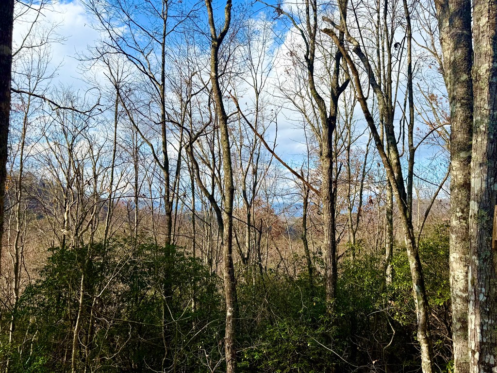 431443 Brasstown
 Land